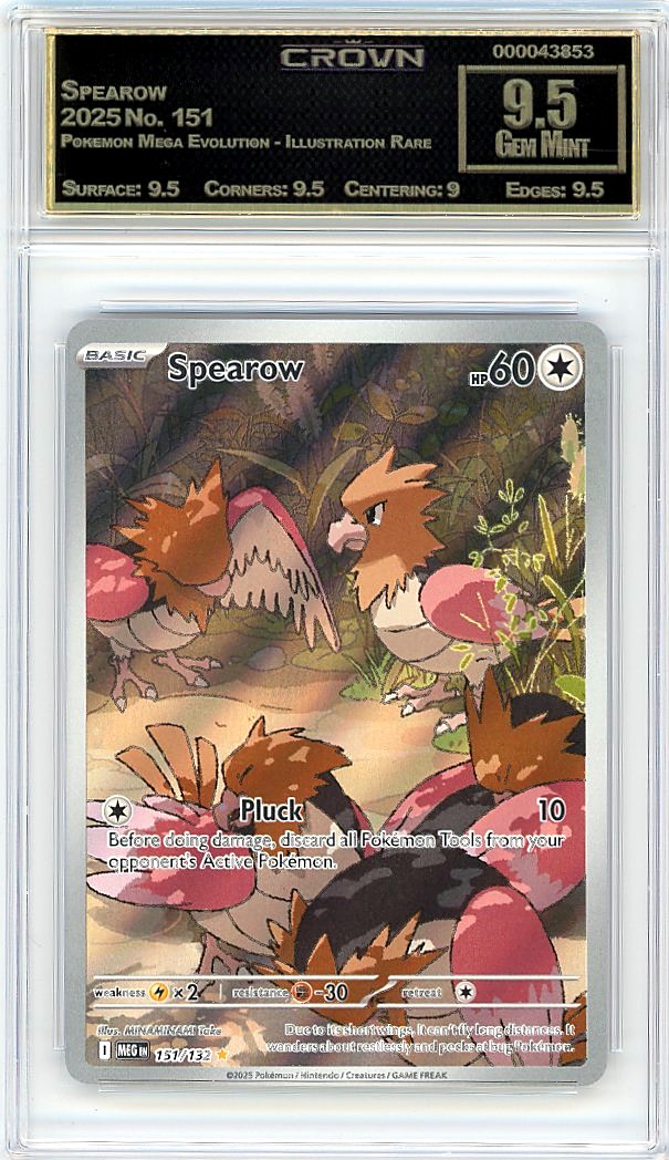 Spearow