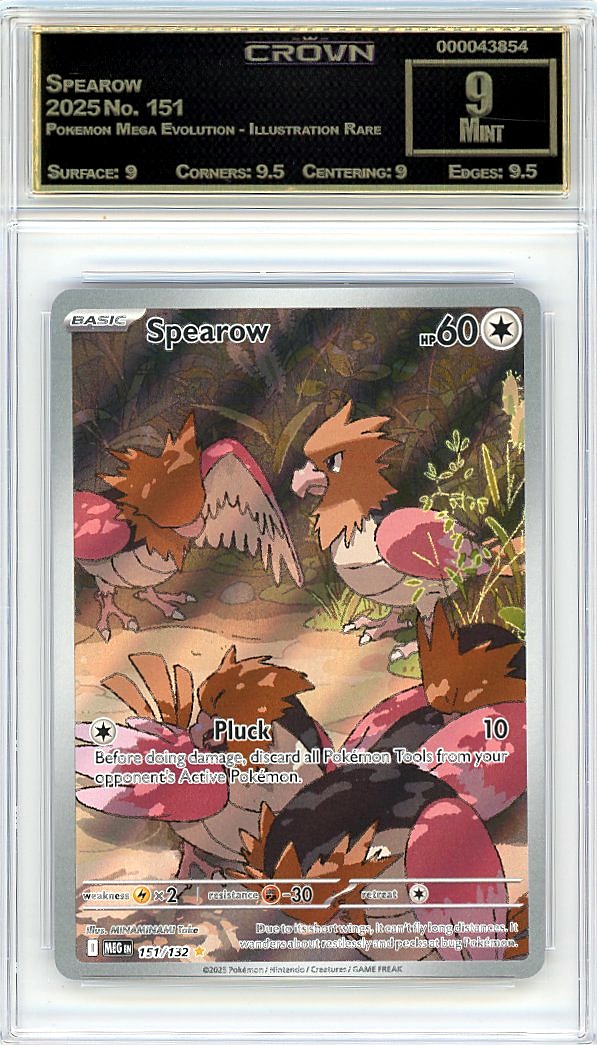Spearow