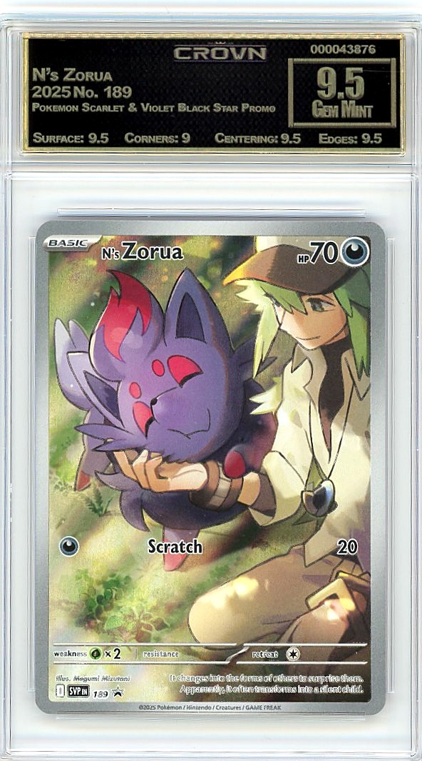 N's Zorua