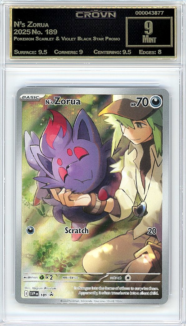N's Zorua
