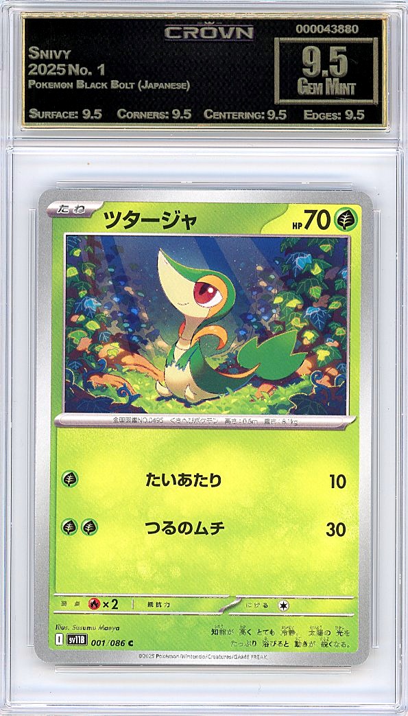 Snivy