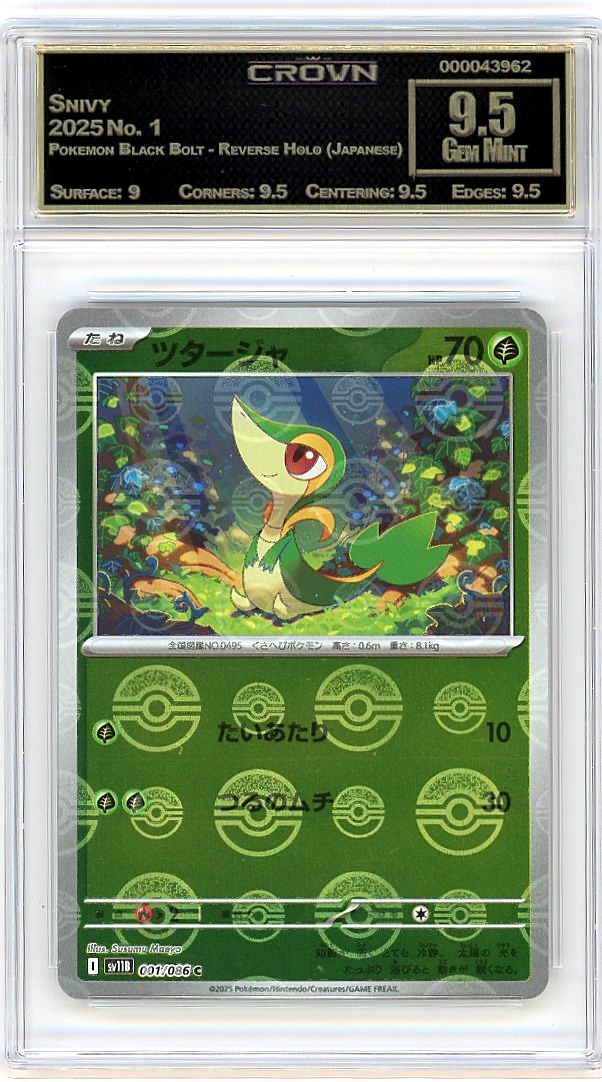 Snivy