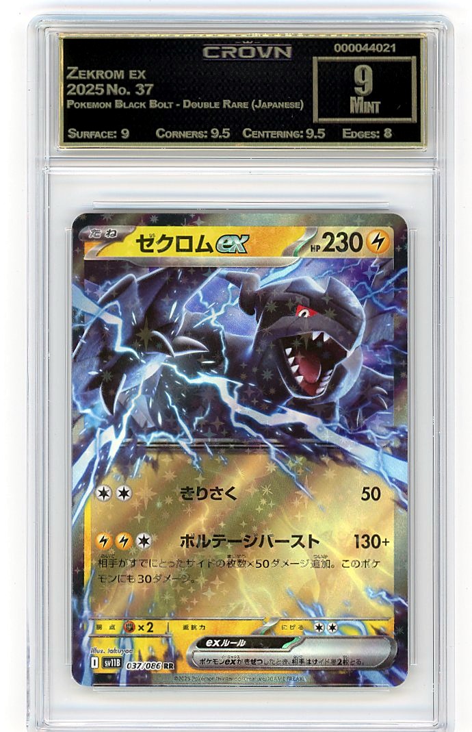 Zekrom ex