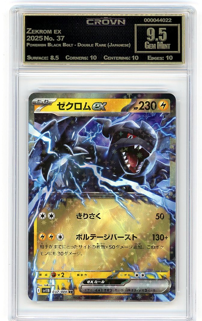 Zekrom ex