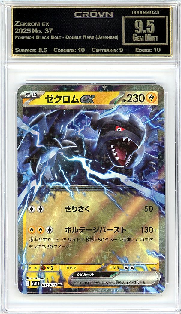 Zekrom ex