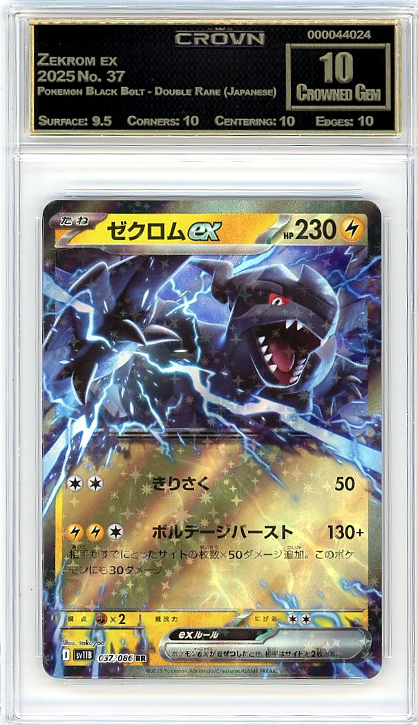 Zekrom ex