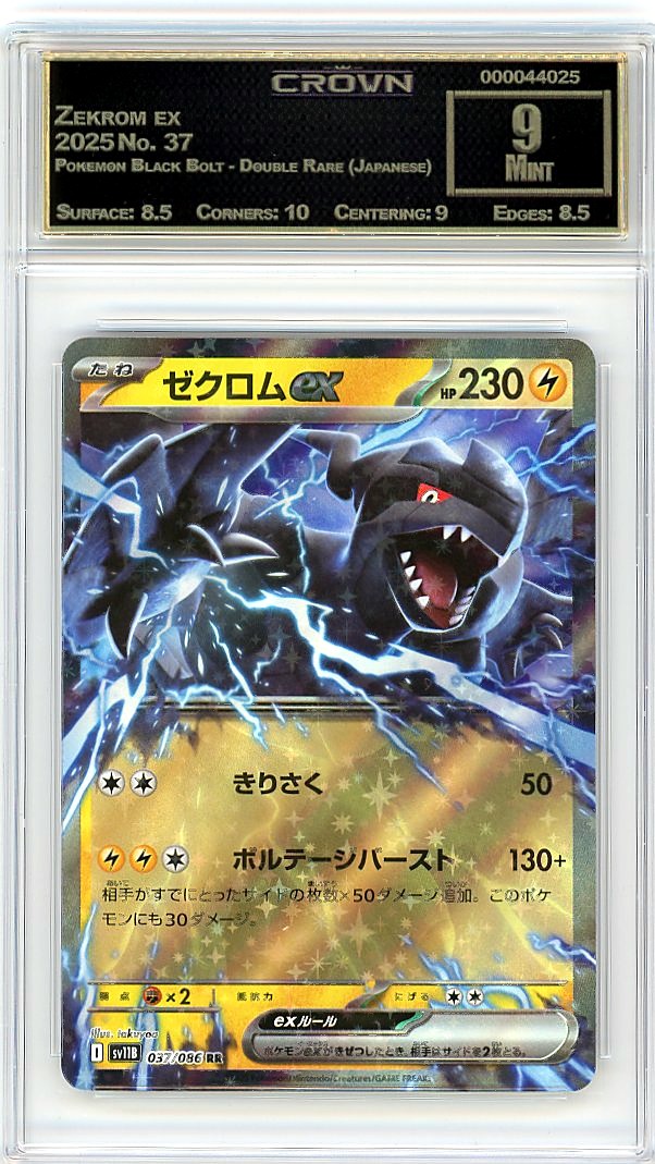 Zekrom ex