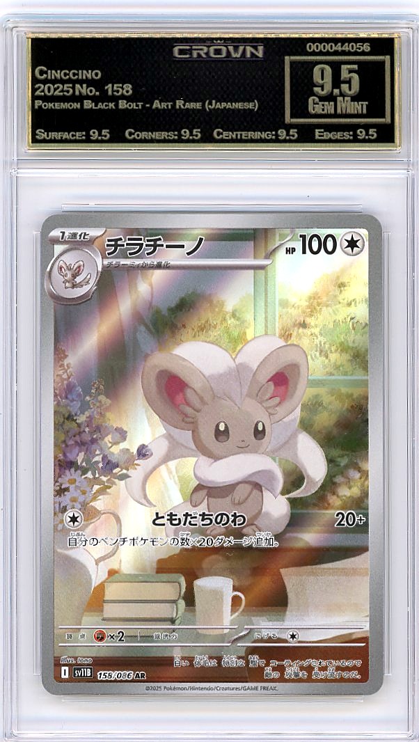 Cinccino