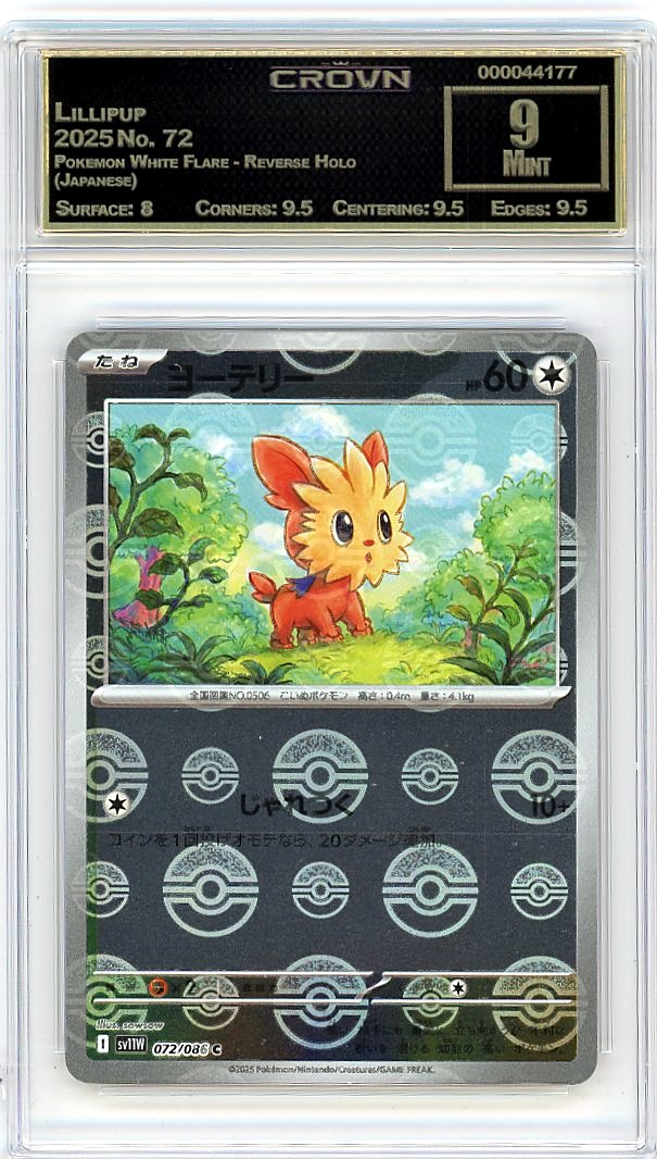 Lillipup