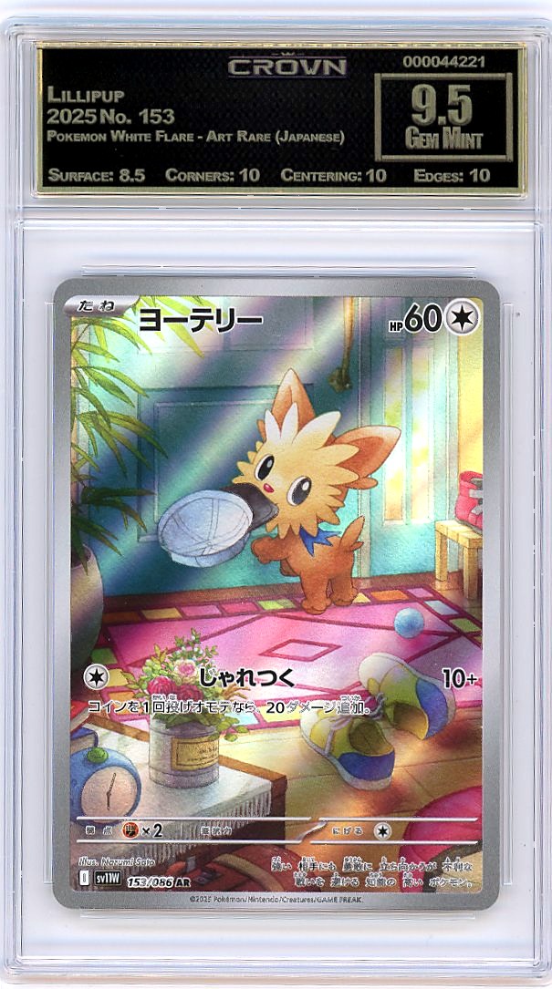 Lillipup