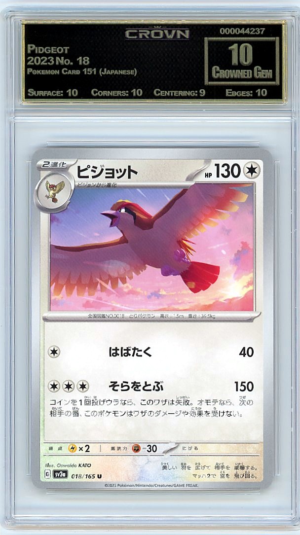 Pidgeot