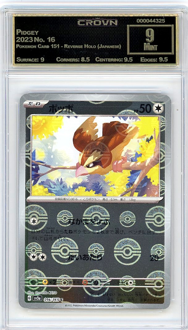 Pidgey