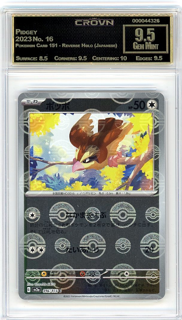Pidgey