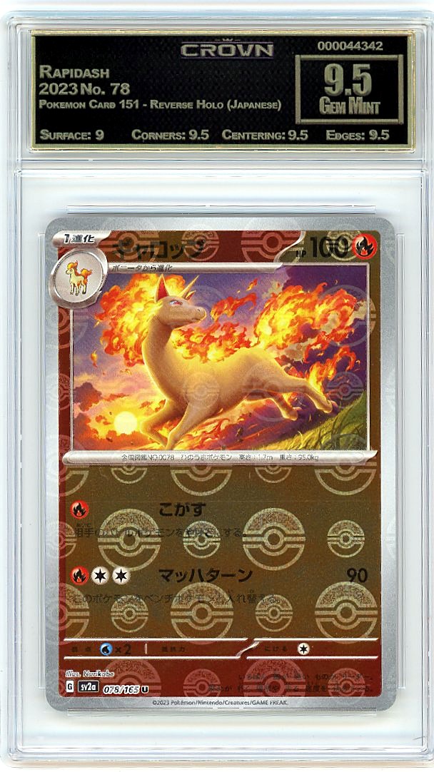 Rapidash
