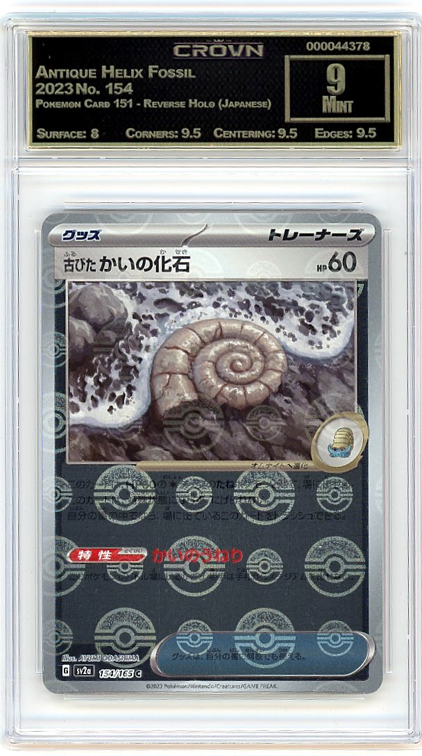 Antique Helix Fossil