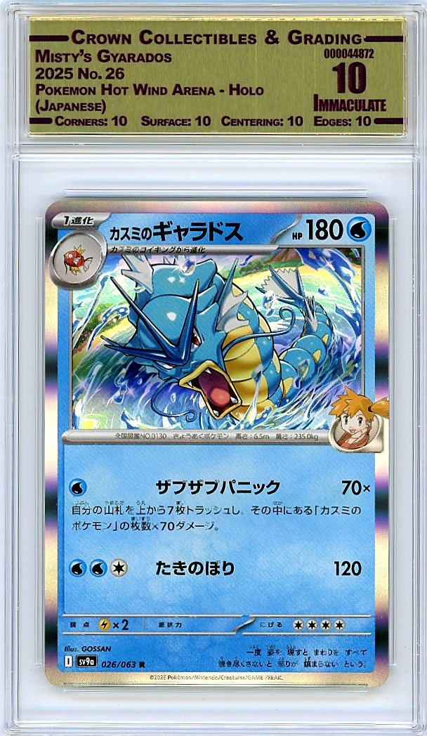 Misty's Gyarados