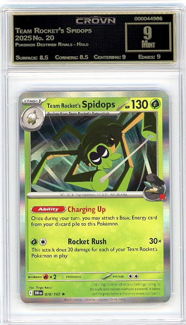 Team Rocket's Spidops