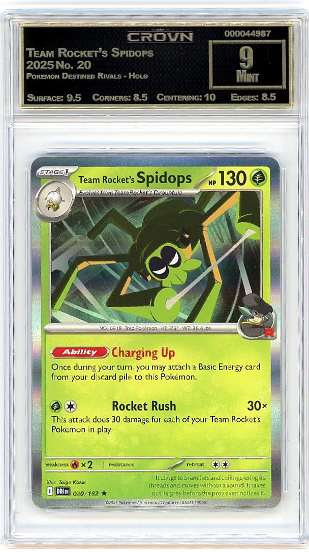 Team Rocket's Spidops