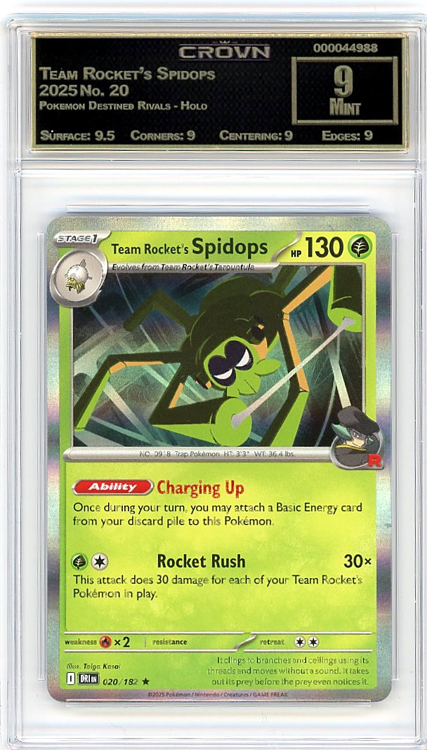 Team Rocket's Spidops