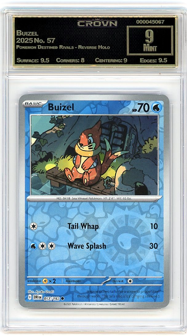Buizel