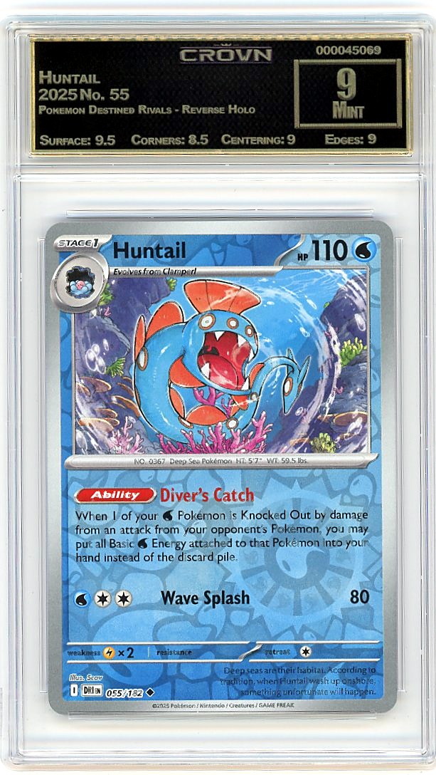 Huntail