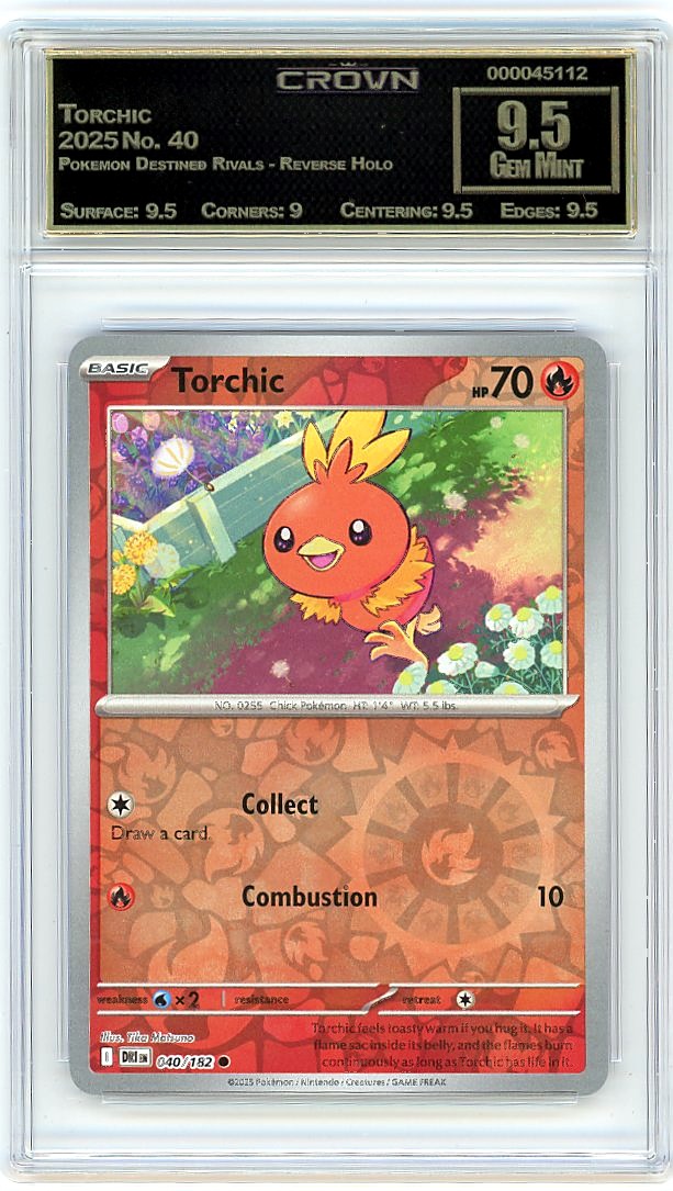 Torchic