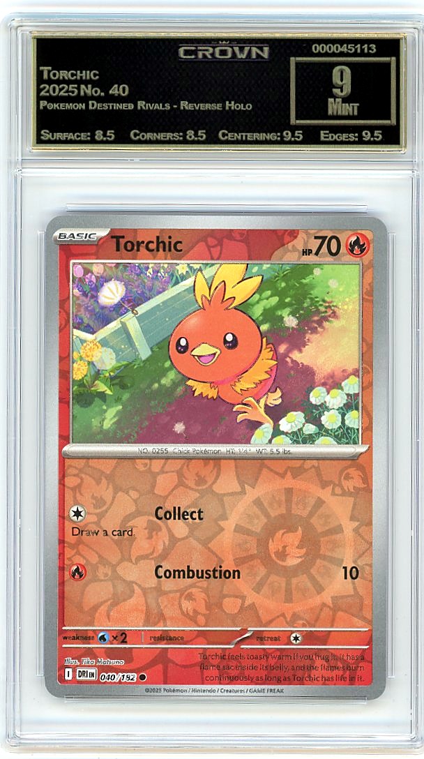 Torchic