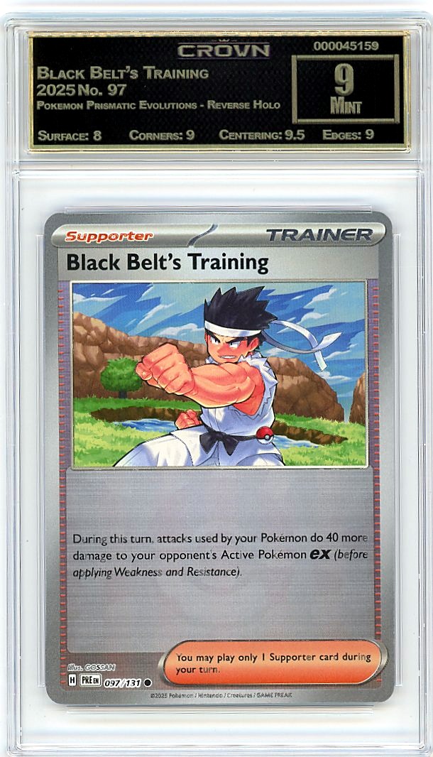 Black Belt's Training