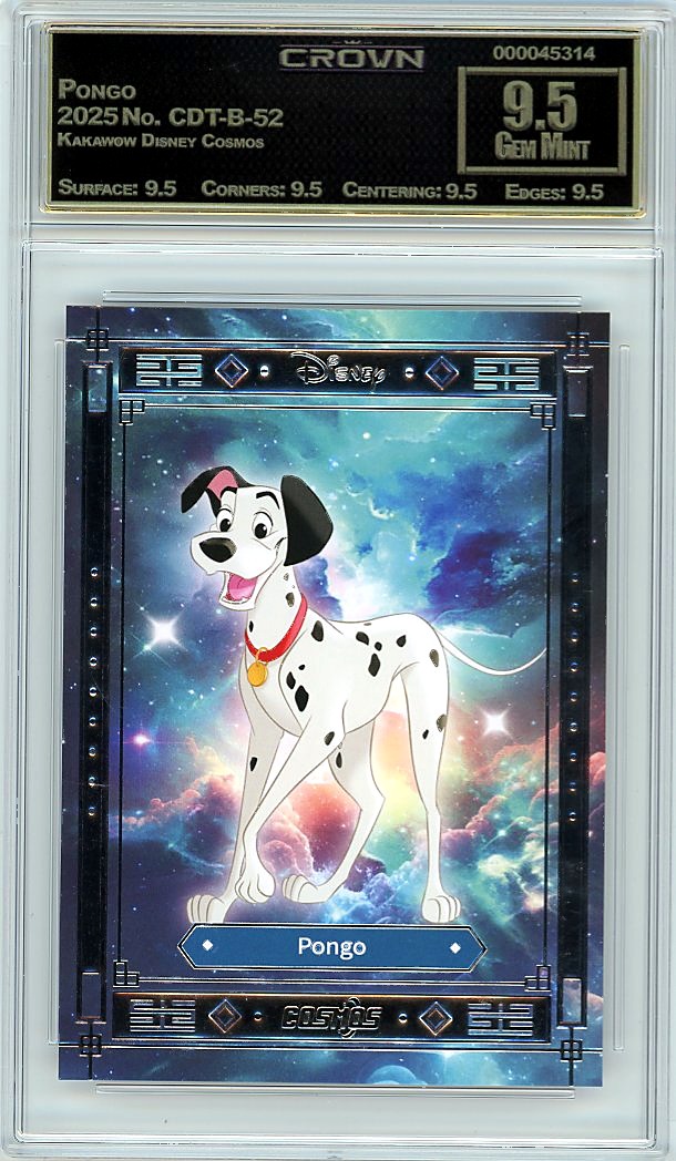 Pongo
