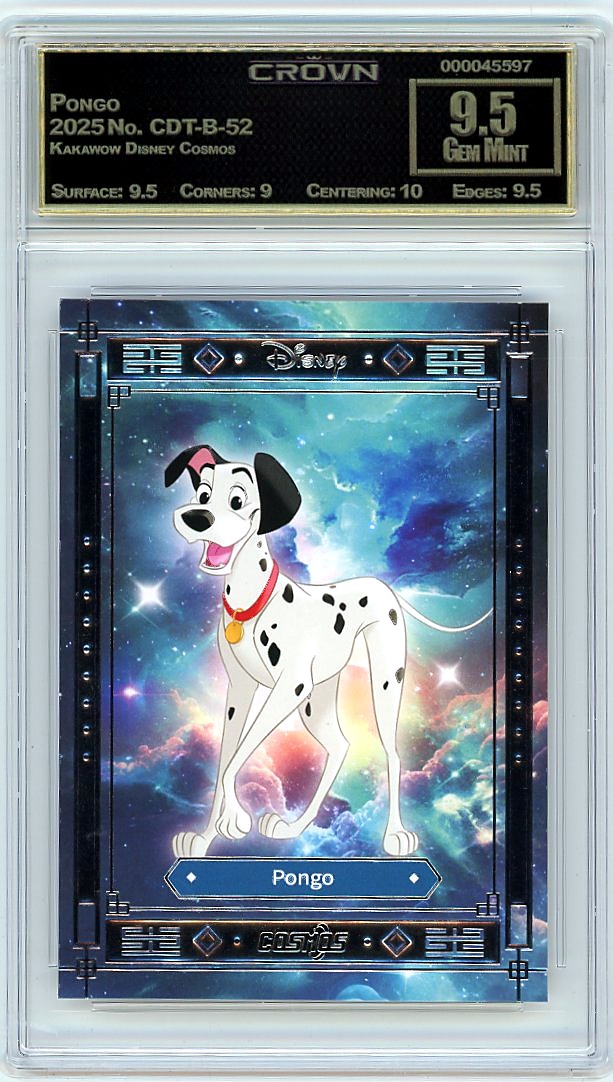 Pongo