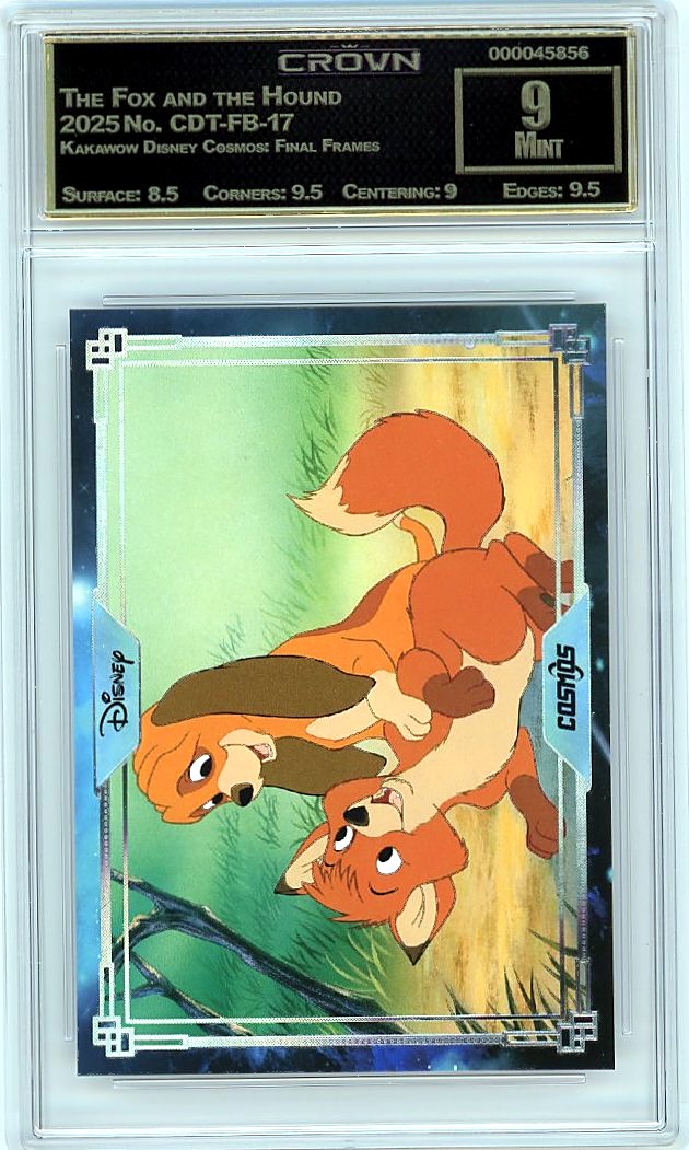 The Fox and the Hound