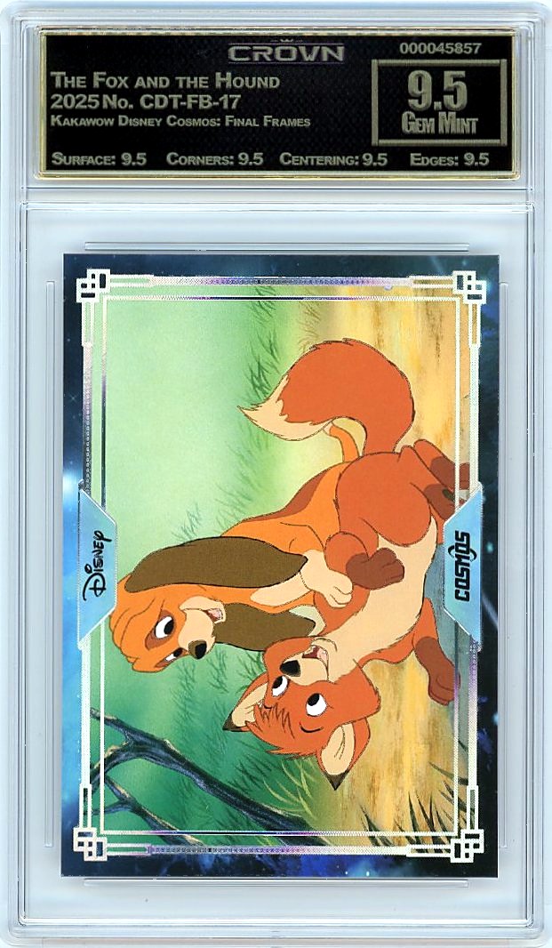 The Fox and the Hound
