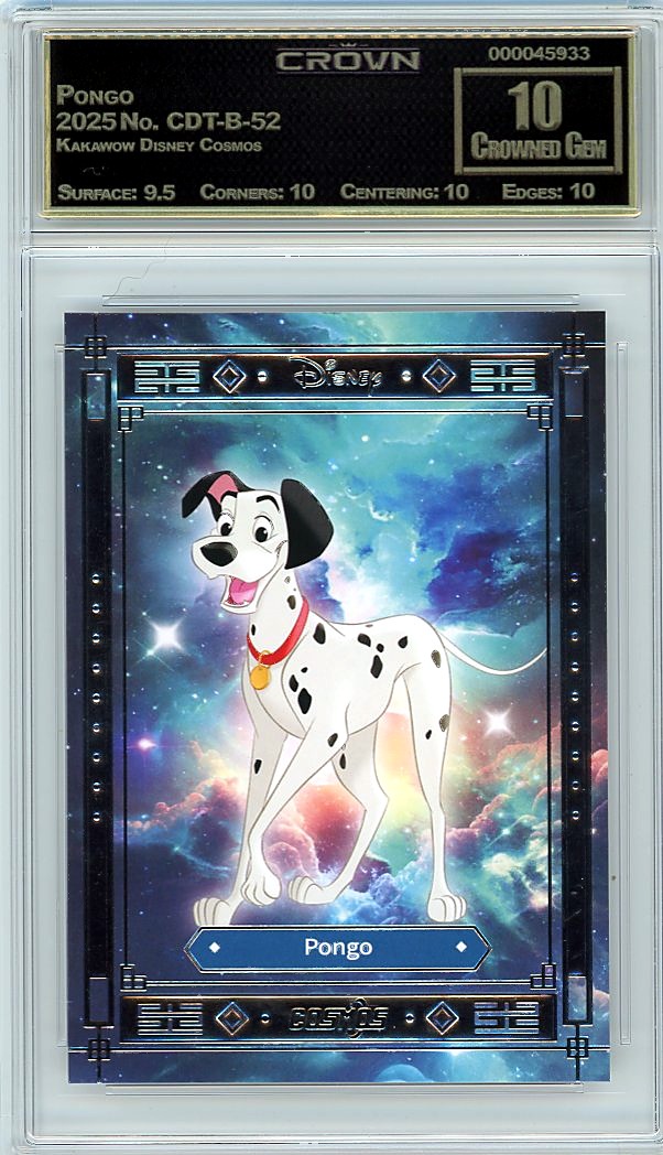 Pongo