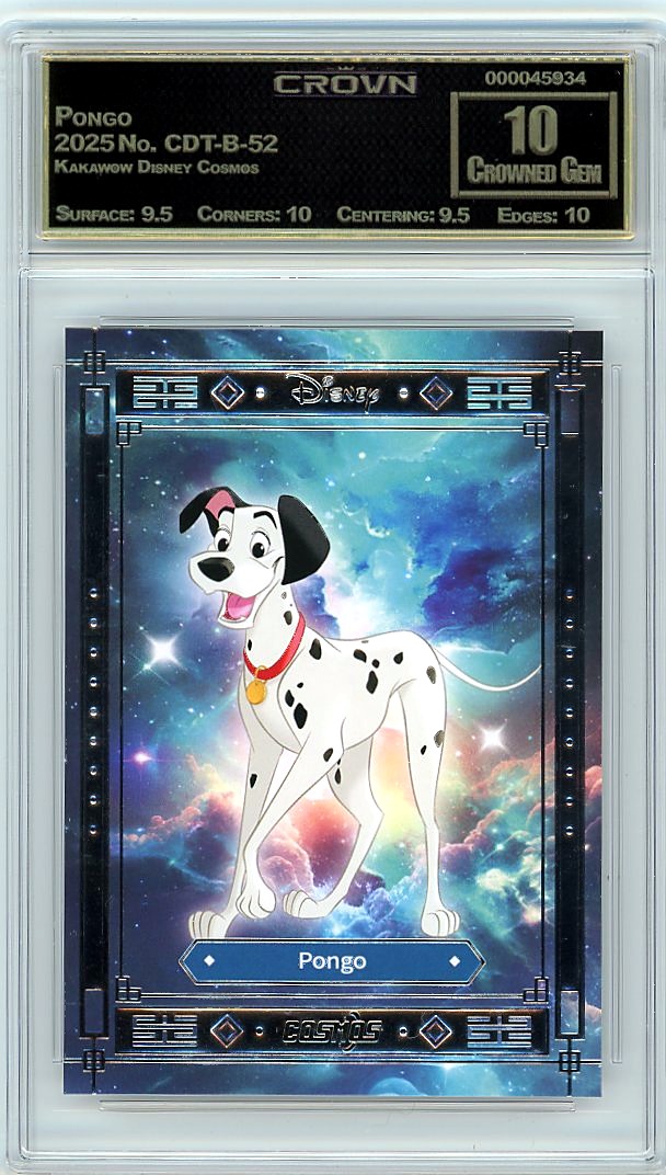 Pongo