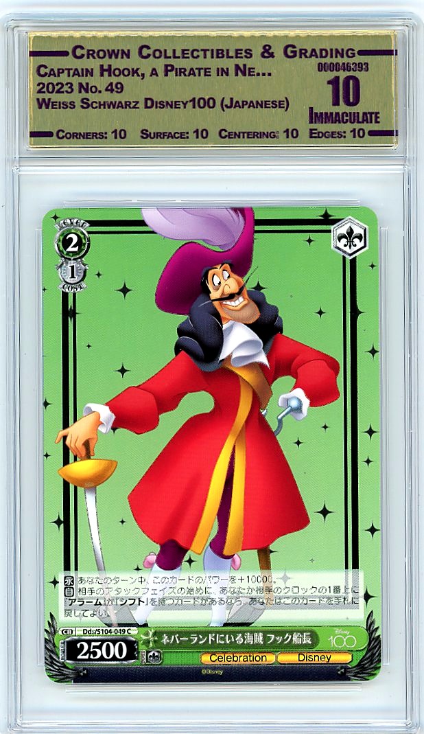 Captain Hook, a Pirate in Ne…