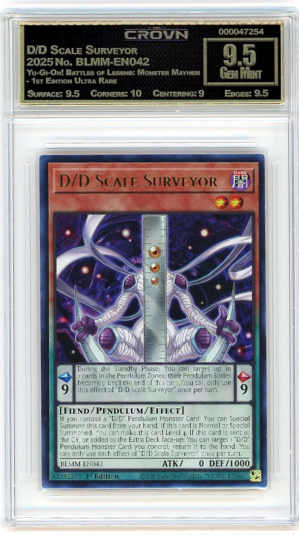 D/D Scale Surveyor