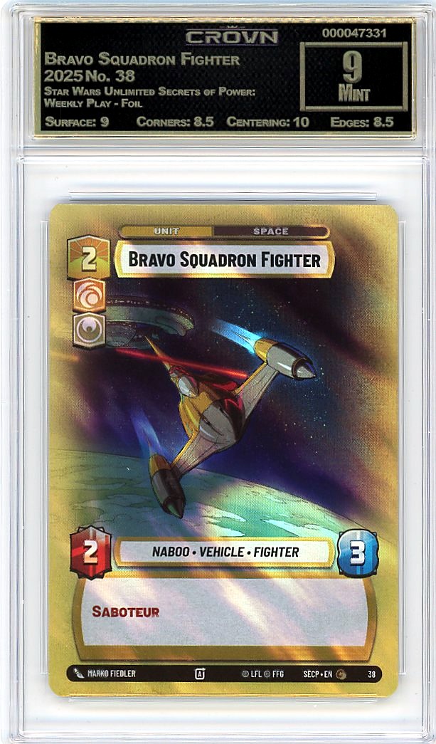 Bravo Squadron Fighter