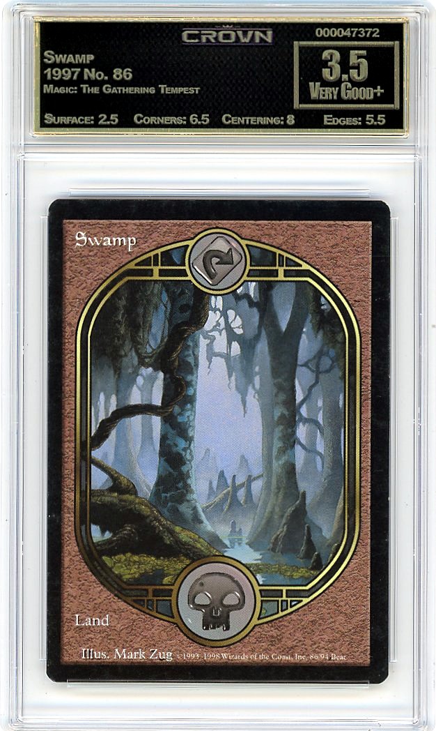 Swamp