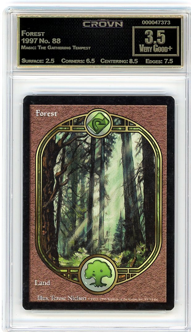 Forest