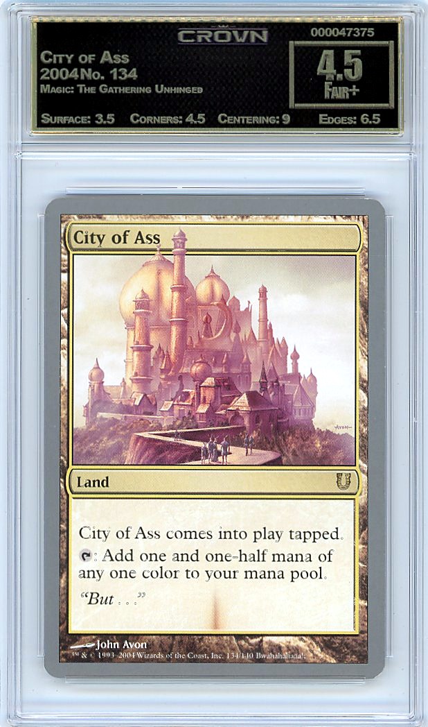 City of Ass