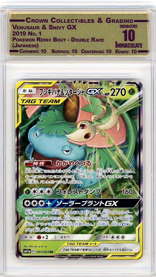 Venusaur & Snivy GX
