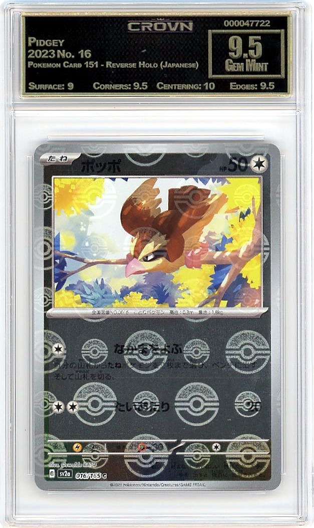 Pidgey