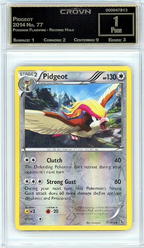 Pidgeot