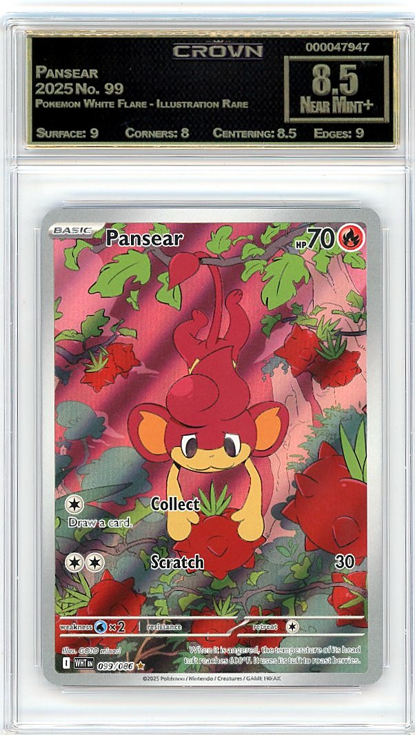 Pansear