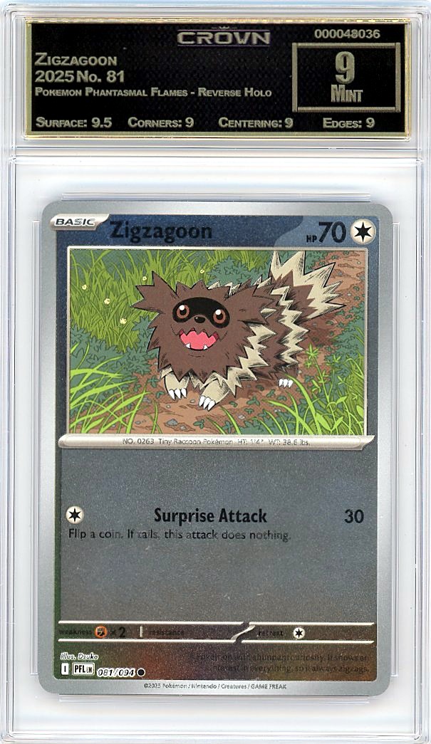 Zigzagoon