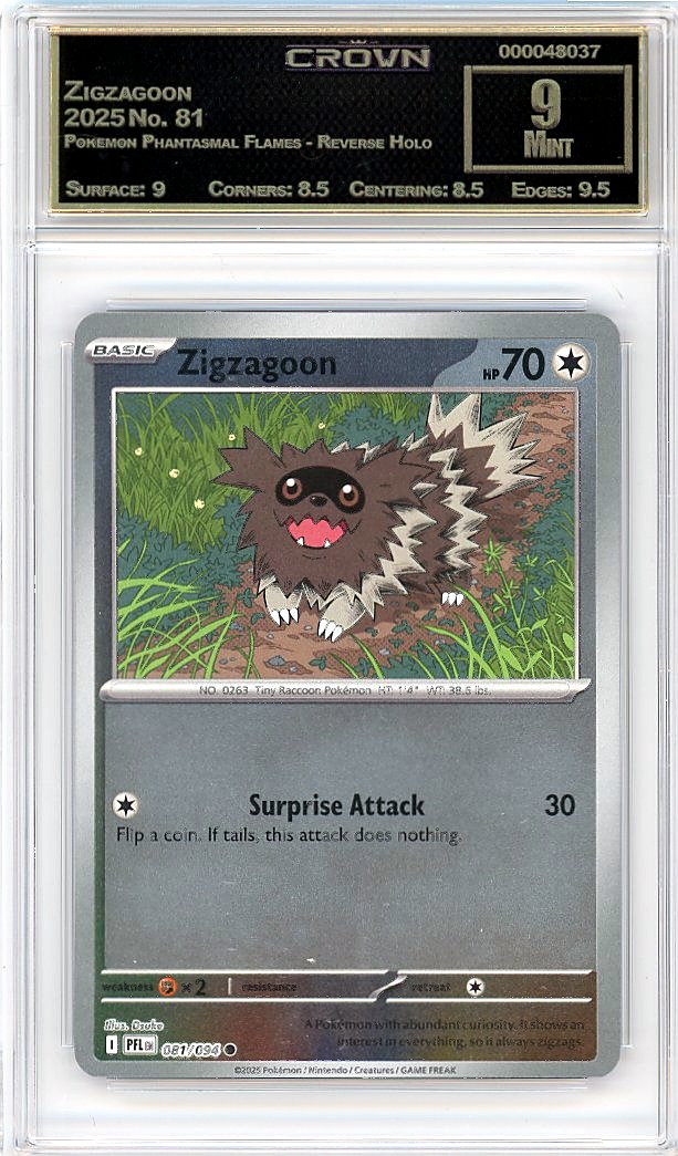 Zigzagoon