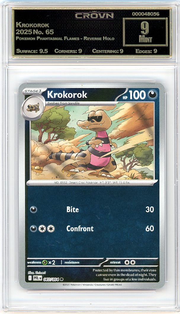 Krokorok