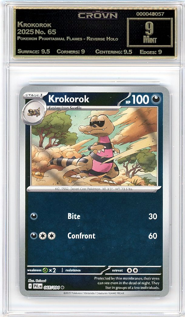 Krokorok