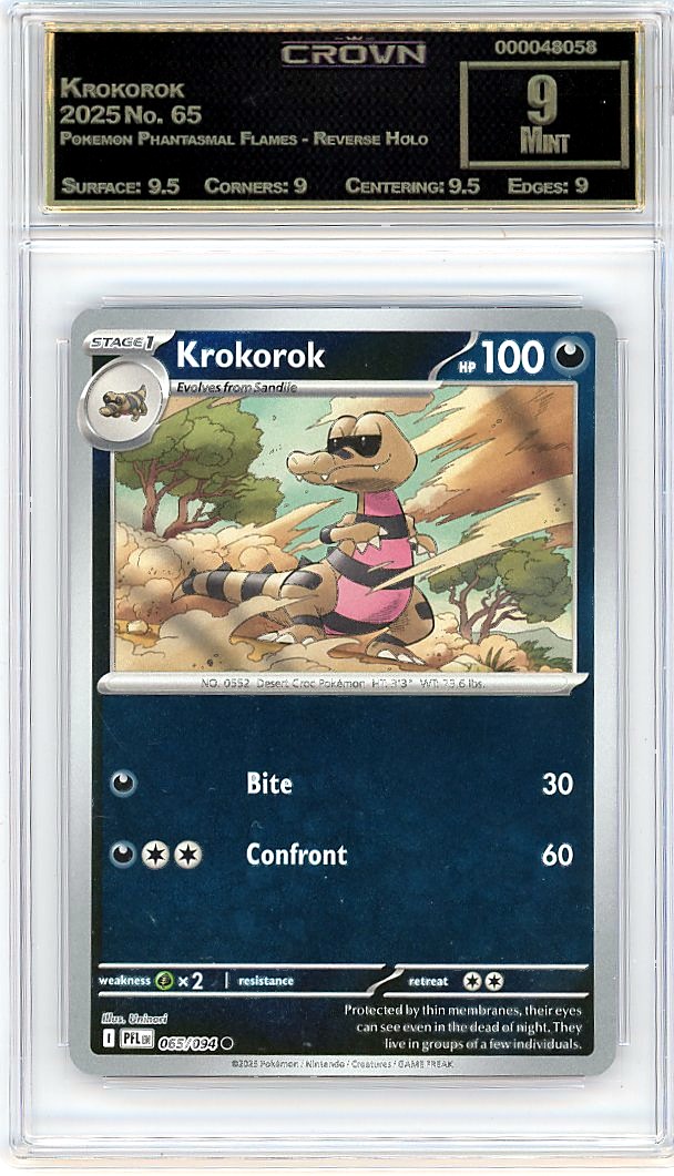 Krokorok