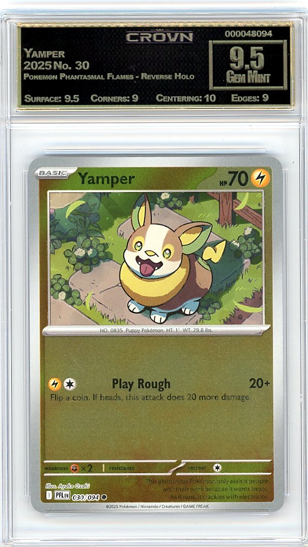 Yamper
